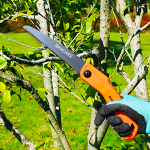 Pruning Shears