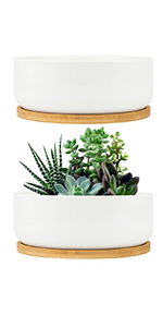 white ceramic succulent pot