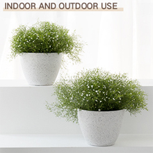 Flower Pot