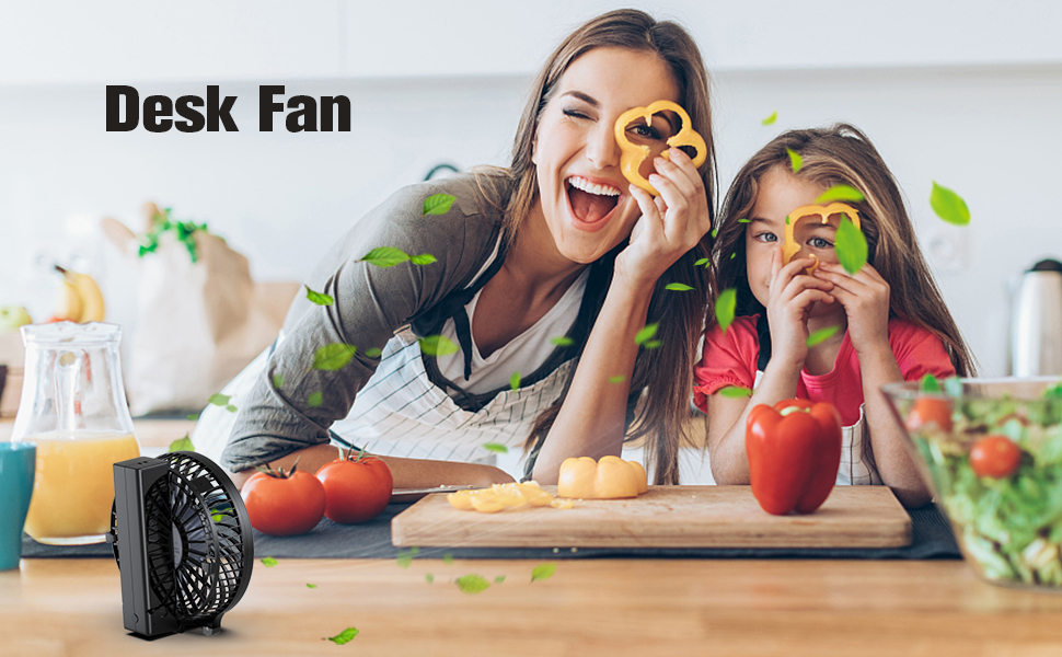 Handheld Fan