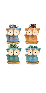 owl succulent pots