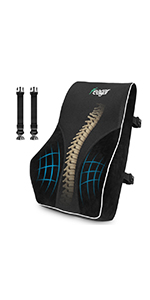 Feagar Lumbar Support Cushion