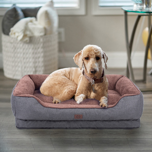 dog bed