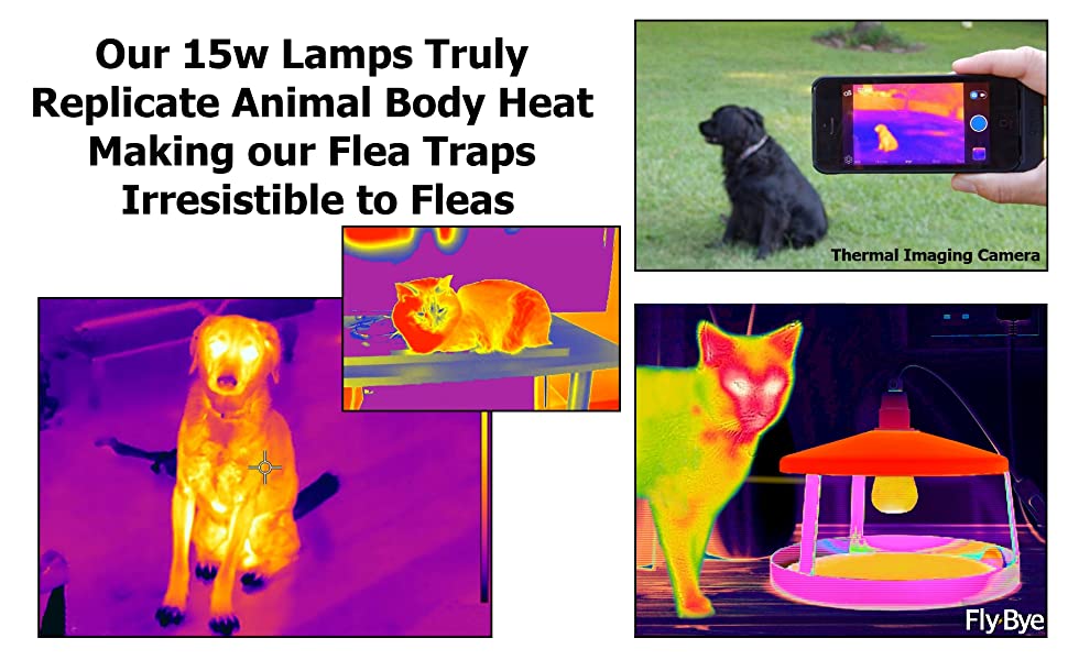 Fly-Bye 2x Ultimate Flea Traps with 12 Sticky Discs - Truly Replicates Animal Body Heat