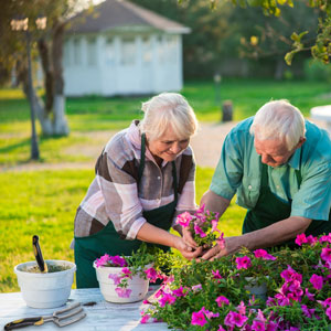 5 Piece Gardening Tools Set