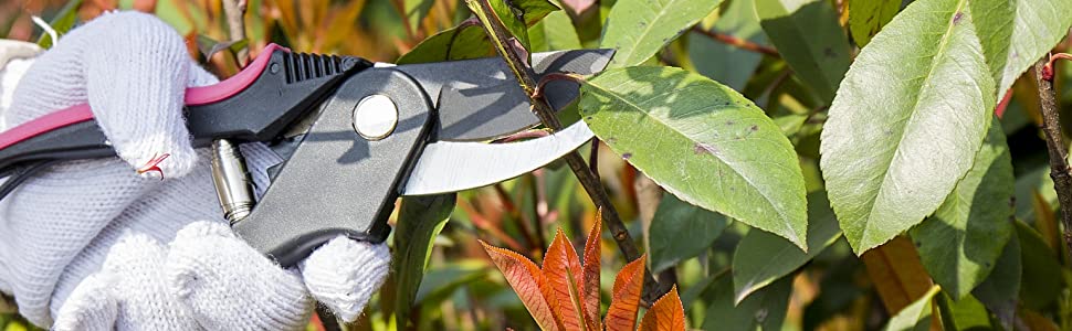 5 Piece Pink Garden Tool Set