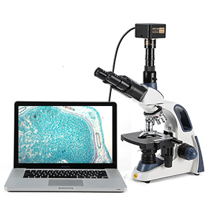 microscopes for adults
