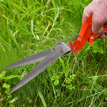 Cultivator