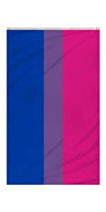 Bisexual flag displayed vertically. 