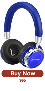 PROHEAR 010 headphones