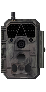 p100 wildlife camera