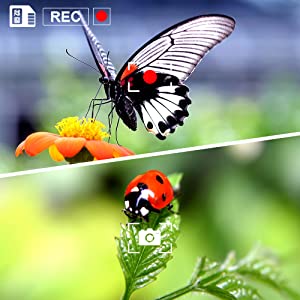 High definition lcd display