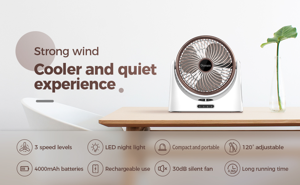 COOL AIR DESK FAN