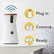 Zak George Dog Trainer