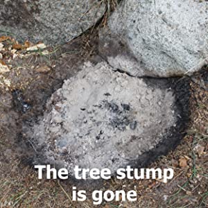 The tree stump is burning with open flames inside the Stump chimney