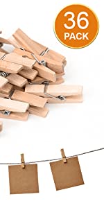 36 pack