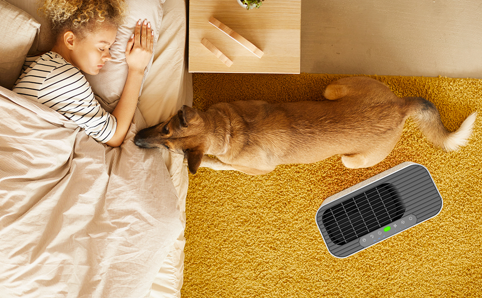 Air Purifiers