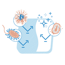 Bacteria Attracted To Normal Surfaces