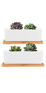 white ceramic succulent pot