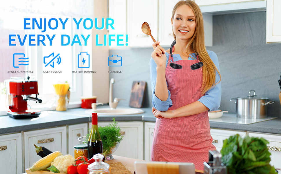 Rechargeable Fan Portable