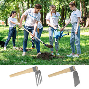 hoe garden tool 