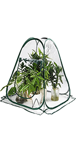 Mini Greenhouse