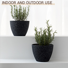 Flower Pot