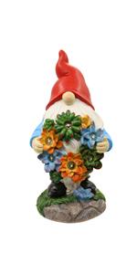 Solar Gnome Succulent