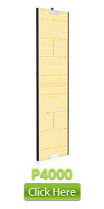 VIPARSPECTRA P4000 LED grow light