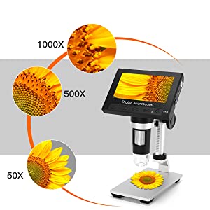 The perfect gift for collectors of coins, stamps and more