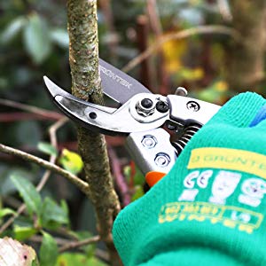 Bussard anvil secateurs garding shears scissors