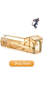 no kill mouse trap