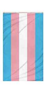 Transgender pride flag hanging vertically.