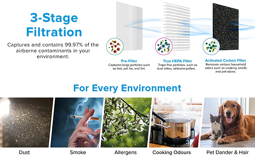 air purifier for home hepa filter bedroom baby room dust smoker pets cat pollen allergyhay fever 