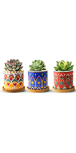 Mandala succulent pots