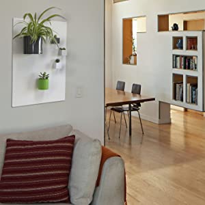 home decor accessories living room chalk board magnetic shelves furniture decor aesthetic stuff