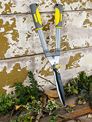 hedge shear set