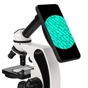microscope