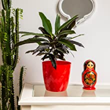 plant pots indoor outdoor red garden planter crystal