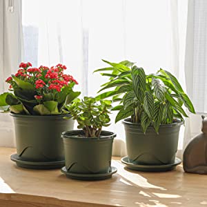 plastic plant pot