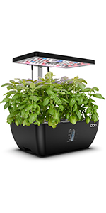 12pods hydropronics growing system