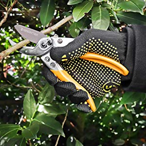 Bussard anvil secateurs garding shears scissors