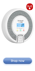 Interconnected Carbon Monoxide Alarm