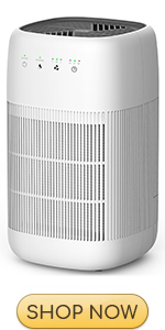 Air Purifier and Dehumidifier