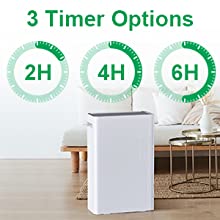 air purifier