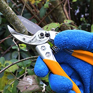 Bussard anvil secateurs garding shears scissors