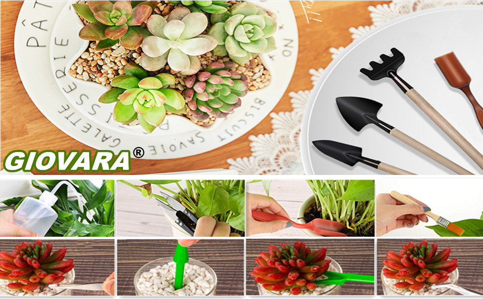 GIOVARA 11 Succulent Tool Set