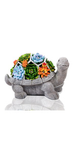 solar turtle