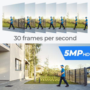 reolink smart detection