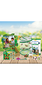 11-300 with new Journal